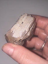 Load image into Gallery viewer, 60g Pink Chalcedony Agate Limb Cast Petrified Wood Gemstone Specimen Lapidary