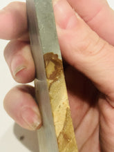 Load image into Gallery viewer, 100g Old Stock Succor Creek Picture Jasper Scenic Slab Oregon Lapidary Rough