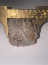 Load image into Gallery viewer, 60g Pink Chalcedony Agate Limb Cast Petrified Wood Gemstone Specimen Lapidary