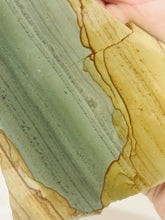 Load image into Gallery viewer, 100g Old Stock Succor Creek Picture Jasper Scenic Slab Oregon Lapidary Rough
