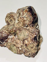 Load image into Gallery viewer, 175g Natural Red Garnet Crystal Cluster Specimen on Matrix Display - Collector