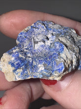 Load image into Gallery viewer, 26g Rare Blue Linarite on cerussite, with leadhillite Lapidary Rough Gemstone