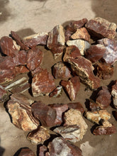 Load image into Gallery viewer, 4+ pound lot of Red Banded Arizona Agatized Petrified Limb wood for lapidary