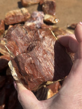 Load image into Gallery viewer, 4+ pound lot of Red Banded Arizona Agatized Petrified Limb wood for lapidary