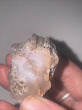 Load image into Gallery viewer, 60g Pink Chalcedony Agate Limb Cast Petrified Wood Gemstone Specimen Lapidary