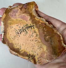 Load image into Gallery viewer, 94g Morrisonite Porcelain Style Picture Jasper Rough Slab Lapidary 68x92mm