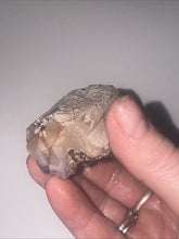 Load image into Gallery viewer, 60g Pink Chalcedony Agate Limb Cast Petrified Wood Gemstone Specimen Lapidary