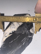 Load image into Gallery viewer, 60g Rough Turquoise White Buffalo Dolomite Slab Otteson GemStone Lapidary