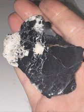 Load image into Gallery viewer, 27g Natural Rough Turquoise White Buffalo Dolomite Otteson GemStone Lapidary