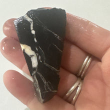 Load image into Gallery viewer, 33g Rough Turquoise White Buffalo Dolomite Slab GemStone Lapidary Nevada Otteson