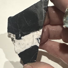 Load image into Gallery viewer, 25g Rough Turquoise White Buffalo Dolomite Slab Otteson GemStone Lapidary