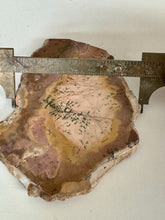 Load image into Gallery viewer, 94g Morrisonite Porcelain Style Picture Jasper Rough Slab Lapidary 68x92mm