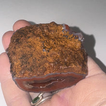 Load image into Gallery viewer, 66g High-Grade Banded Laguna Agate Gemstone Specimen Mexico Lapidary