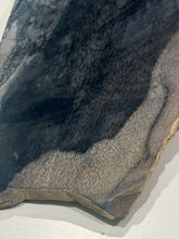 Load image into Gallery viewer, 159g Petrified Palm Wood Gemstone Rough Slab Palmoxylon Fossil Lapidary Display