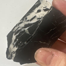 Load image into Gallery viewer, 54g Rough Turquoise White Buffalo Dolomite Slab GemStone Lapidary Nevada Otteson