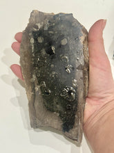 Load image into Gallery viewer, 159g Petrified Palm Wood Gemstone Rough Slab Palmoxylon Fossil Lapidary Display