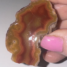 Load image into Gallery viewer, 13g High-Grade Banded Laguna Agate Gemstone Specimen Mexico Lapidary