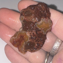 Load image into Gallery viewer, 13g High-Grade Banded Laguna Agate Gemstone Specimen Mexico Lapidary