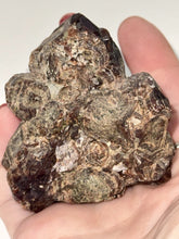 Load image into Gallery viewer, 175g Natural Red Garnet Crystal Cluster Specimen on Matrix Display - Collector
