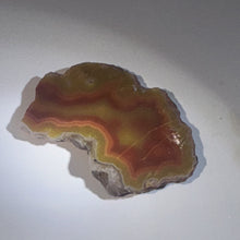 Load image into Gallery viewer, 13g High-Grade Banded Laguna Agate Gemstone Specimen Mexico Lapidary