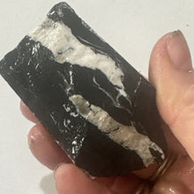 Load image into Gallery viewer, 54g Rough Turquoise White Buffalo Dolomite Slab GemStone Lapidary Nevada Otteson