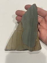 Load image into Gallery viewer, 100g Old Stock Succor Creek Picture Jasper Scenic Slab Oregon Lapidary Rough