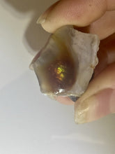 Load image into Gallery viewer, 54ct Fire Agate Windowed Rough Old Stock Gemstone Specimen Lapidary 22x25mm