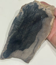 Load image into Gallery viewer, 159g Petrified Palm Wood Gemstone Rough Slab Palmoxylon Fossil Lapidary Display