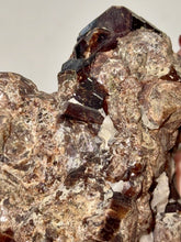 Load image into Gallery viewer, 175g Natural Red Garnet Crystal Cluster Specimen on Matrix Display - Collector