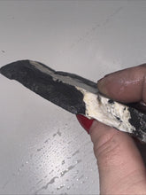 Load image into Gallery viewer, 60g Rough Turquoise White Buffalo Dolomite Slab Otteson GemStone Lapidary