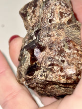 Load image into Gallery viewer, 175g Natural Red Garnet Crystal Cluster Specimen on Matrix Display - Collector