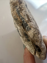 Load image into Gallery viewer, 407g Natural Nevada White Buffalo Mine Turquoise “Dolomite” GemStone Lapidary