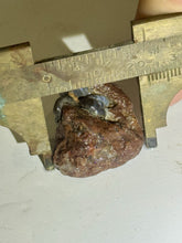 Load image into Gallery viewer, 104ct Fire Agate Windowed Botryoidal Rough Gemstone Specimen Lapidary 23x27mm