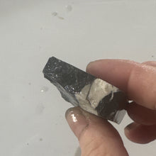 Load image into Gallery viewer, 54g Rough Turquoise White Buffalo Dolomite Slab GemStone Lapidary Nevada Otteson