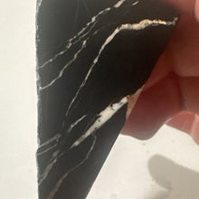Load image into Gallery viewer, 33g Rough Turquoise White Buffalo Dolomite Slab GemStone Lapidary Nevada Otteson