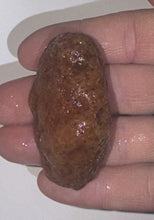 Load image into Gallery viewer, 40g High-Grade Banded Laguna Agate Gemstone Specimen Mexico Lapidary