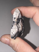 Load image into Gallery viewer, 27g Natural Rough Turquoise White Buffalo Dolomite Otteson GemStone Lapidary