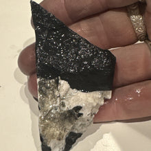 Load image into Gallery viewer, 25g Rough Turquoise White Buffalo Dolomite Slab Otteson GemStone Lapidary