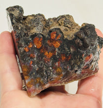 Load image into Gallery viewer, 210g Wingate Pass Plume Agate Rough Gemstone Specimen Old Stock California