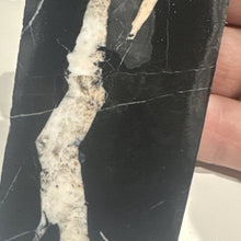 Load image into Gallery viewer, 89g Rough Turquoise White Buffalo Dolomite Slab Otteson GemStone Lapidary