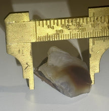 Load image into Gallery viewer, 54ct Fire Agate Windowed Rough Old Stock Gemstone Specimen Lapidary 22x25mm