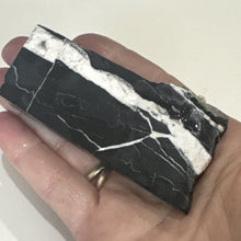 Load image into Gallery viewer, 65g Natural Rough Turquoise White Buffalo Dolomite Otteson GemStone Lapidary