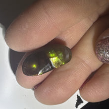 Load image into Gallery viewer, 12ct Old Stock Fire Agate Gemstone Rough Cabochon High Grade Lapidary Specimen