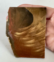 Load image into Gallery viewer, 58g Morrisonite Porcelain Picture Jasper Rough Slab Lapidary Old Stock 65x84mm
