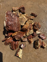 Load image into Gallery viewer, 4+ pound lot of Red Banded Arizona Agatized Petrified Limb wood for lapidary