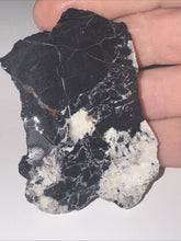Load image into Gallery viewer, 27g Natural Rough Turquoise White Buffalo Dolomite Otteson GemStone Lapidary