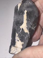 Load image into Gallery viewer, 40g Natural Rough Turquoise White Buffalo Dolomite Otteson GemStone Lapidary