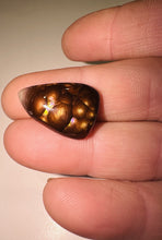 Load image into Gallery viewer, 9.9ct Rare Fire Agate GemStone Cabochon High Grade Lapidary Specimen