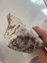 Load image into Gallery viewer, 407g Natural Nevada White Buffalo Mine Turquoise “Dolomite” GemStone Lapidary