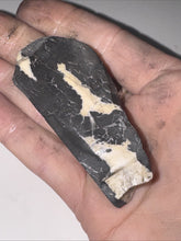 Load image into Gallery viewer, 40g Natural Rough Turquoise White Buffalo Dolomite Otteson GemStone Lapidary